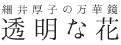 細井厚子の万華鏡　透明な花