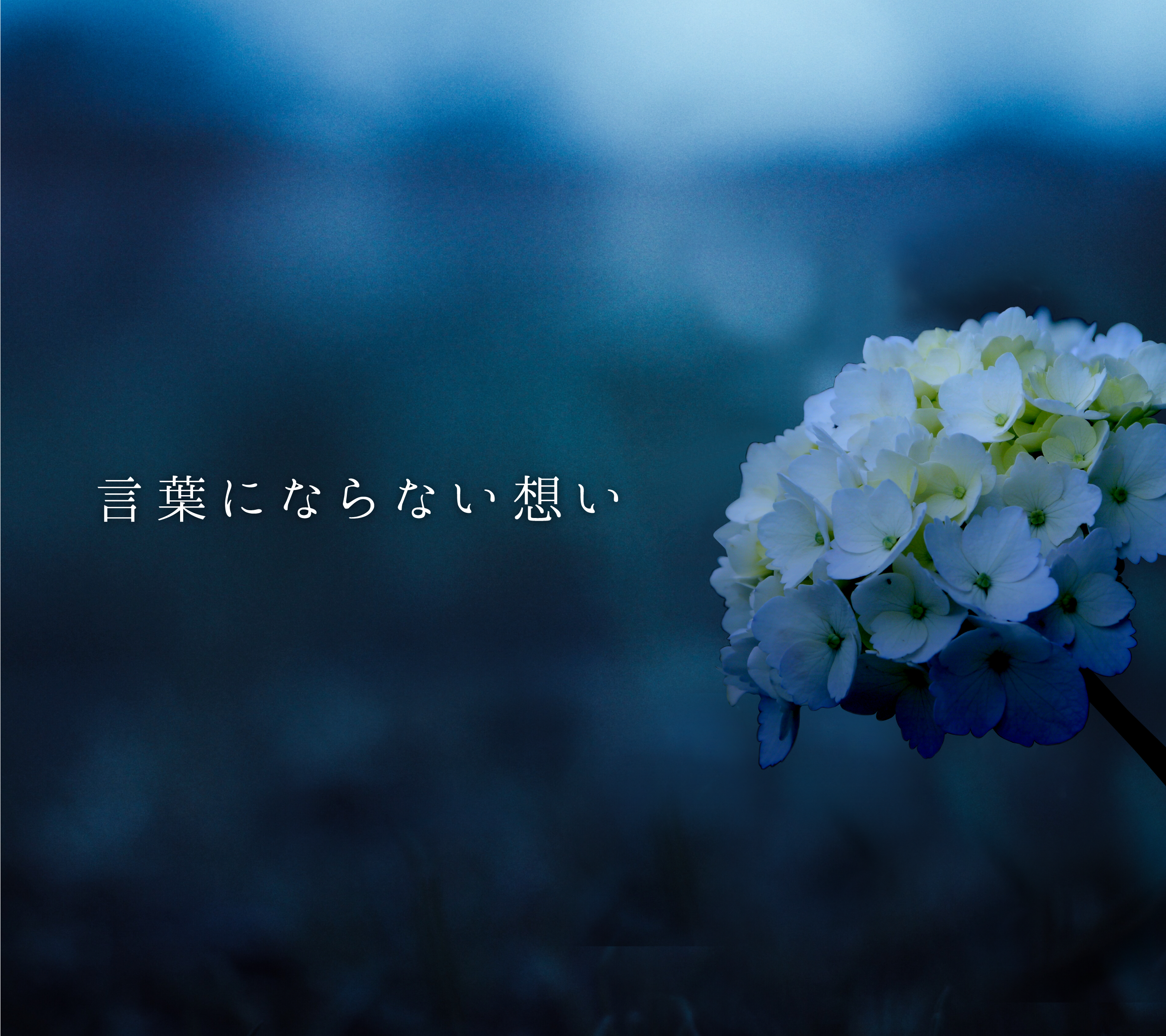細井厚子の万華鏡｜透明な花